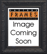 Photo Frames, Portrait Picture Frame, Matting, Picture Gallery